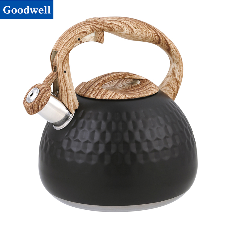 Stainless Steel Whistling Kettle