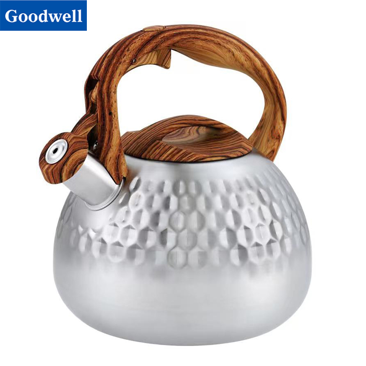 Stainless Steel Whistling Kettle