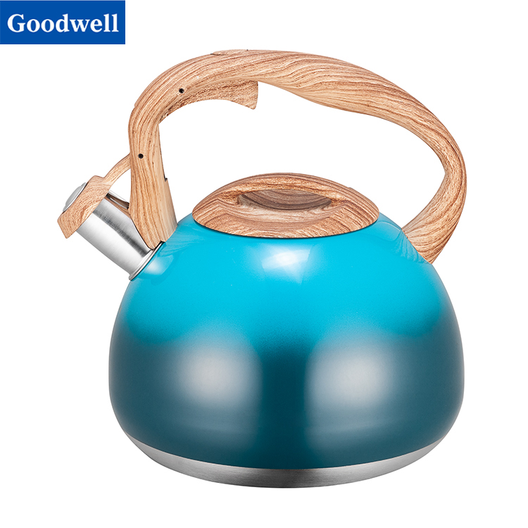 Stainless Steel Whistling Kettle