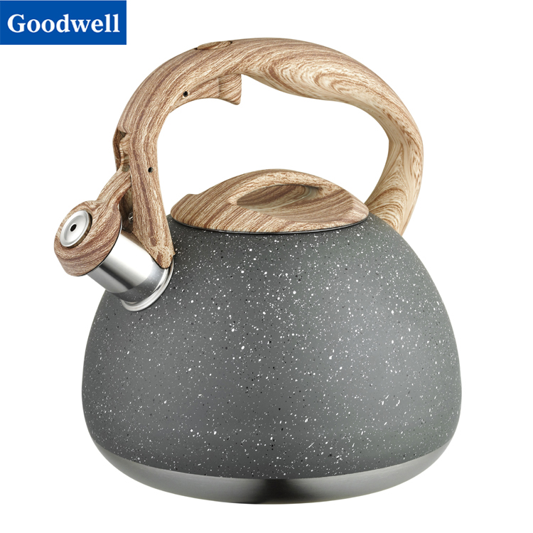 Stainless Steel Whistling Kettle