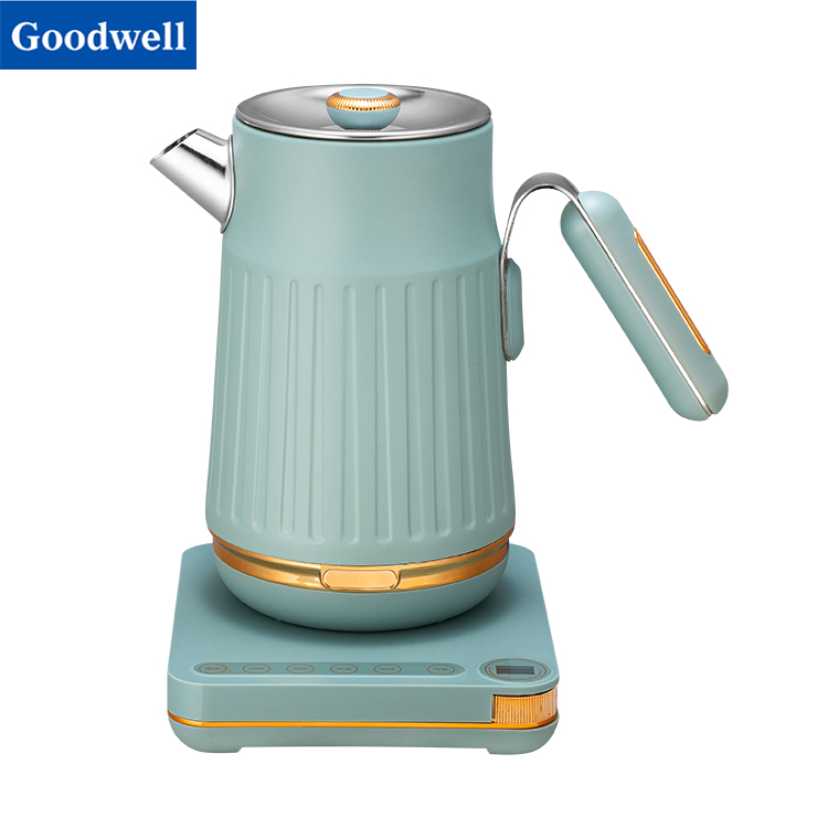 Electric Water Kettle