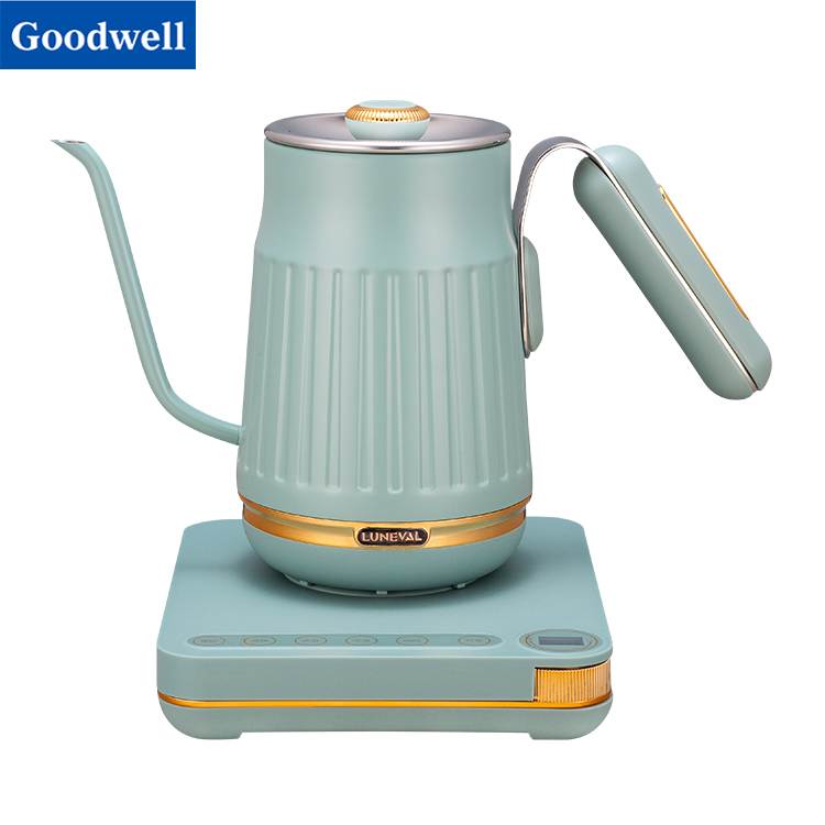 Electric Gooseneck Kettle