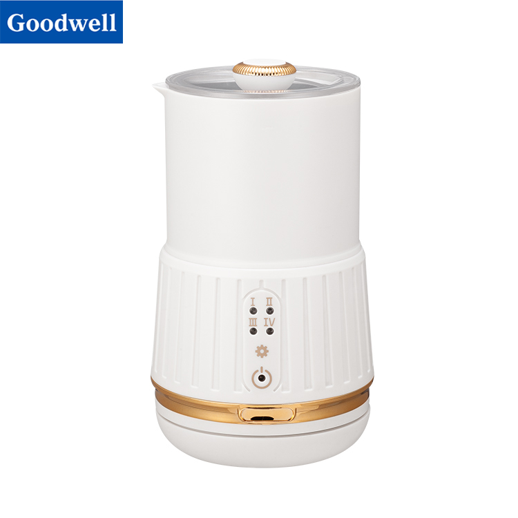 Electric Coffee Grinder